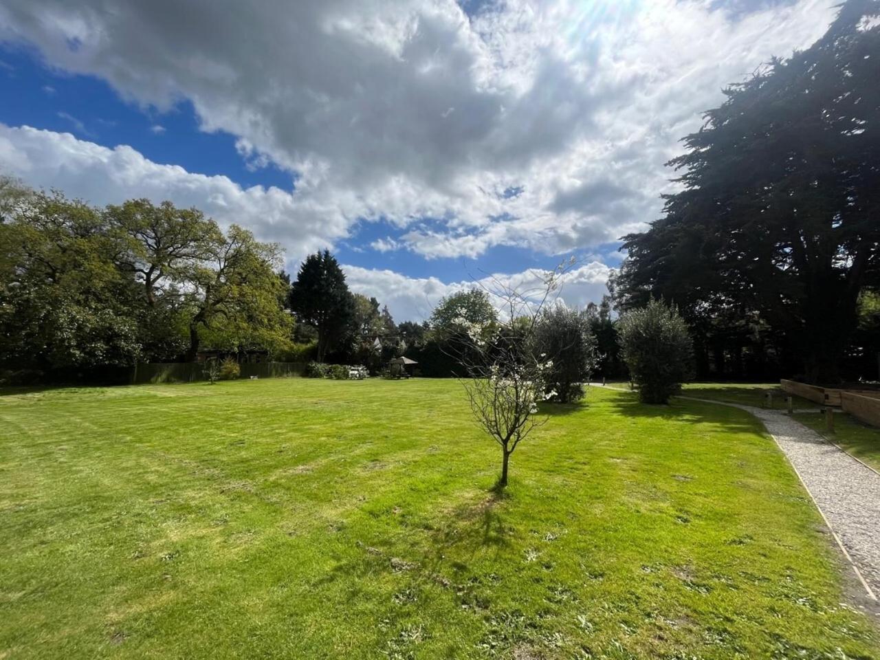 Villa Little Paddock à Ringwood Extérieur photo